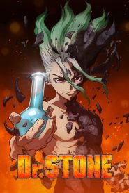 Dr. Stone: Science Future